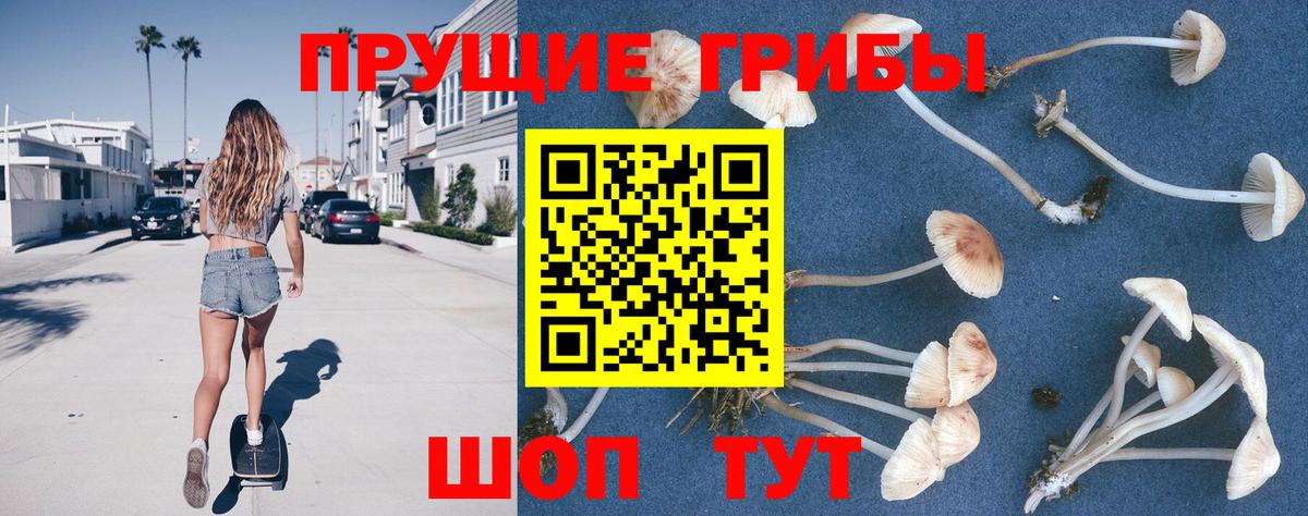 Обь  Галлюциногенные грибы Psilocybe  Галлюциногенные грибы мицелий  Вход с VPN 