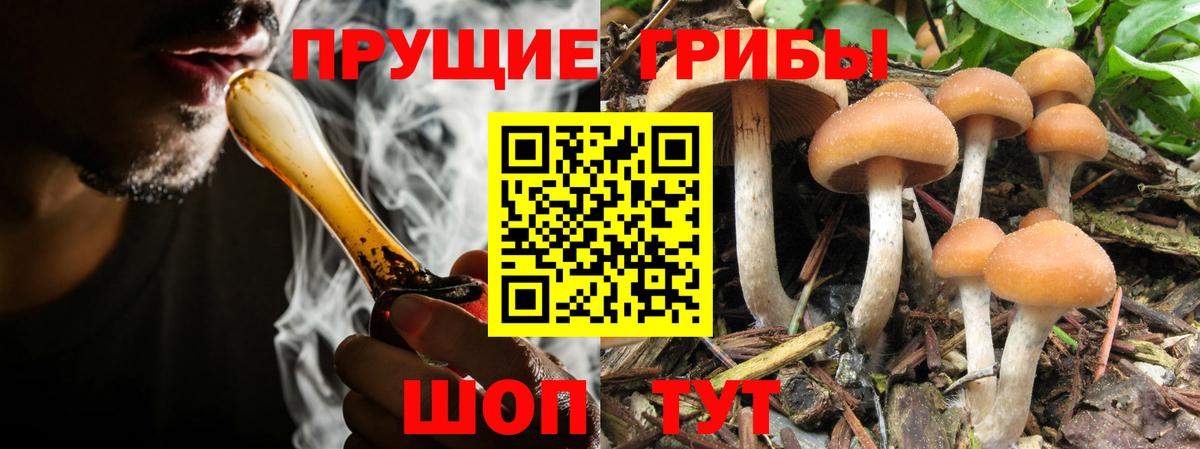 Псилоцибиновые грибы Magic Shrooms Обь